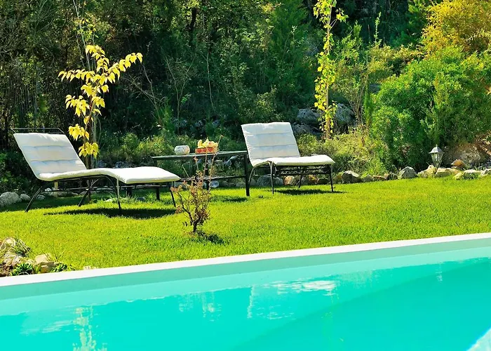 Mounty Island * Lazaráta